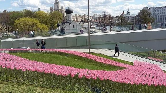 Парк Зарядье Москва стеклянная кора