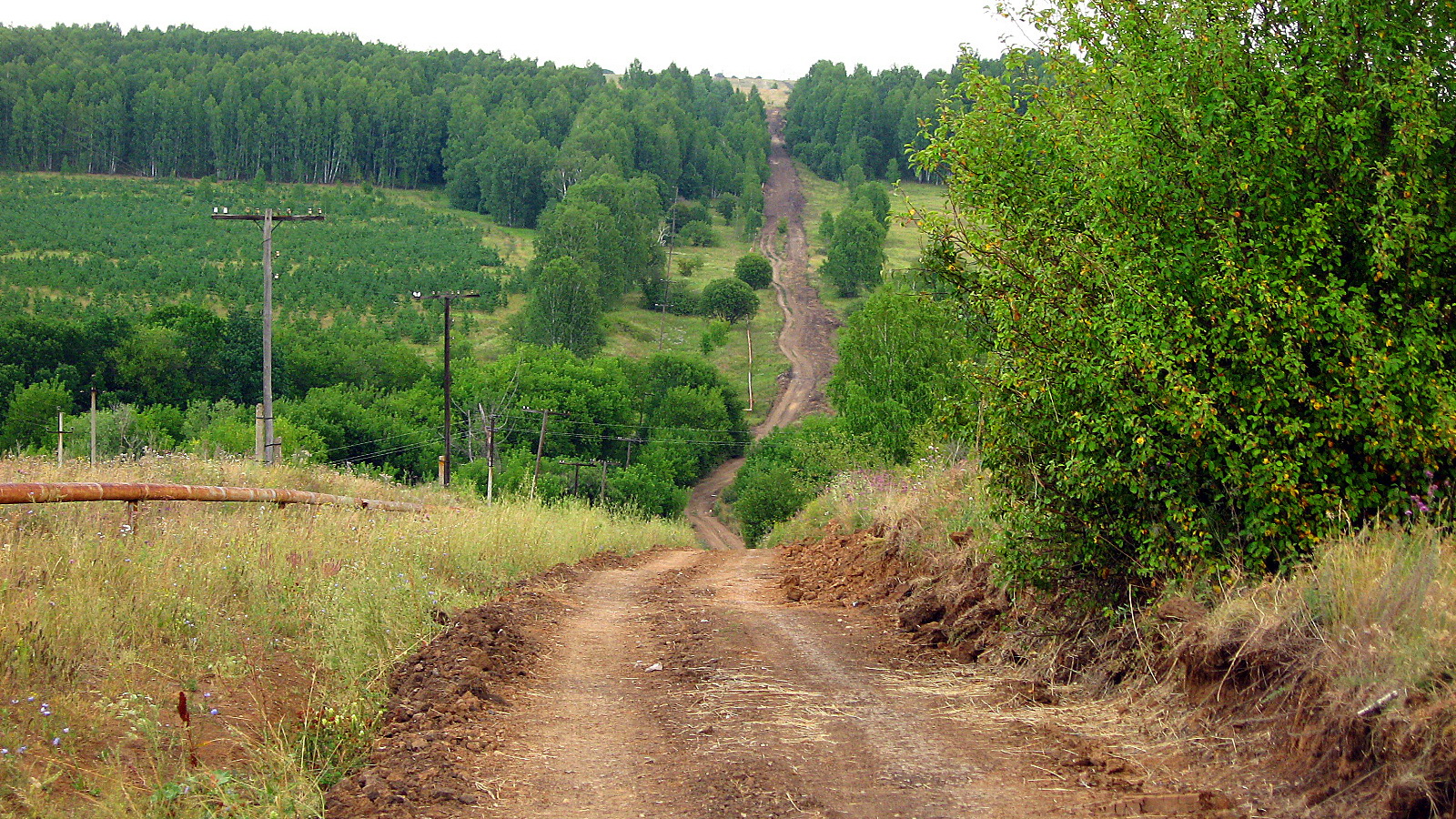 Деревня овраги. Дорога Сосновый солонец Аскулы. Село берёзовый солонец. Село Аскулы. Аскулы Шелехметь.