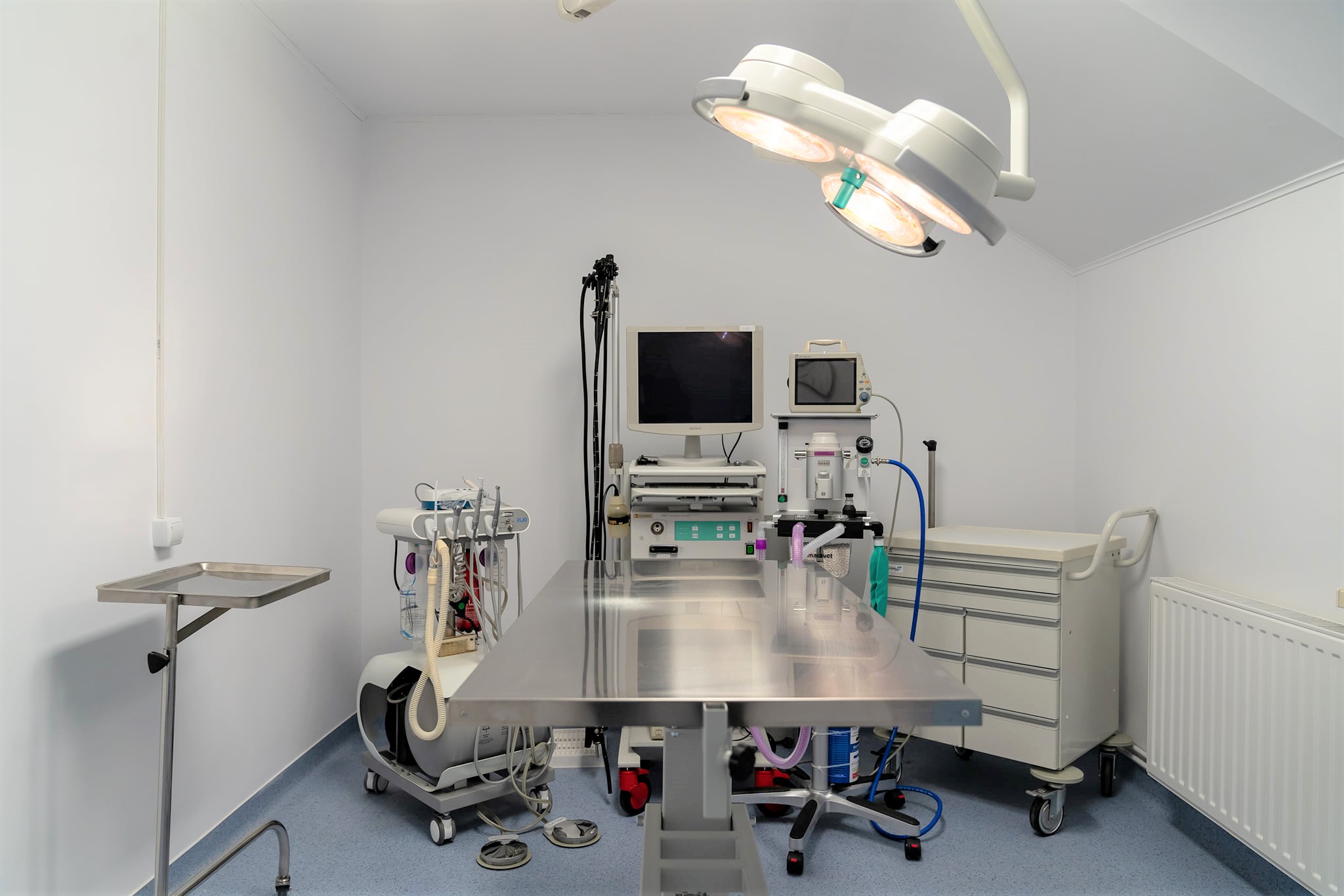 Spitalul Veterinar Transilvania