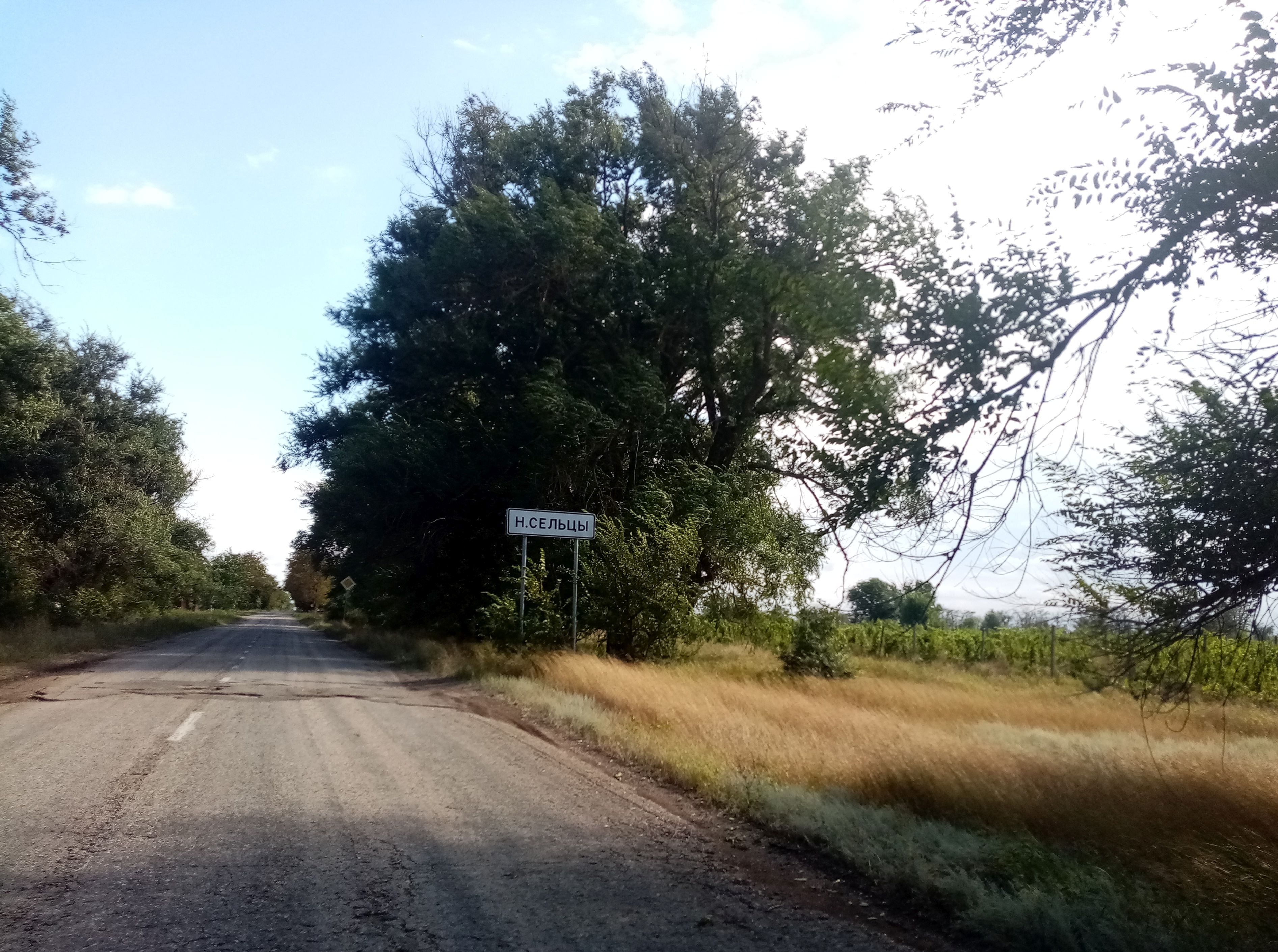 Сельские поселения крыма. Село Новосельцы. Новосельцы Черновицкой области. Фрайдорф Крым. С Новосельцы Красногвардейский район Крым.