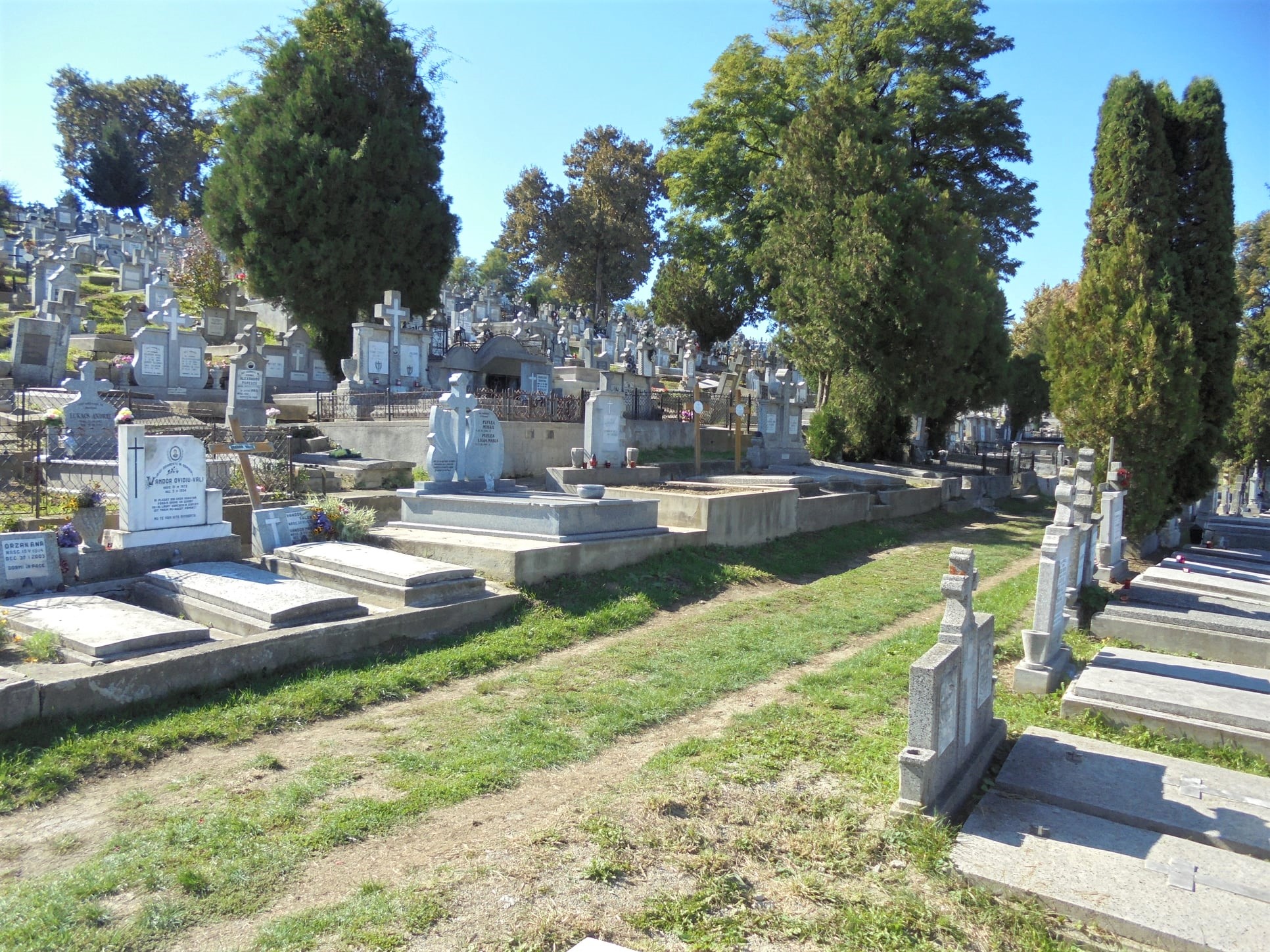 The Central Cemetery