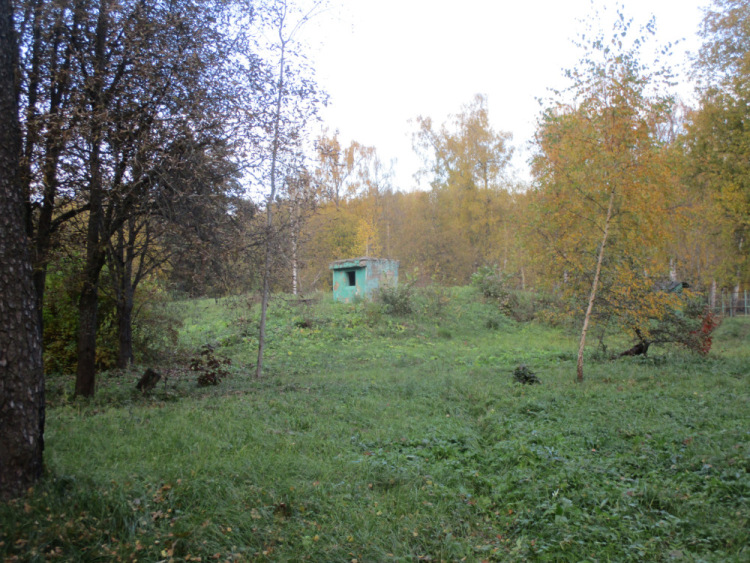 (Звенигород)