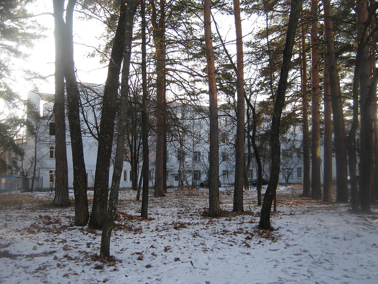 Пензенская область заречный время. Санаторий Заречный Пензенская область. Лес на улице Зареченской Пенза. Улей Заречный Пензенская область. Крона Заречный.