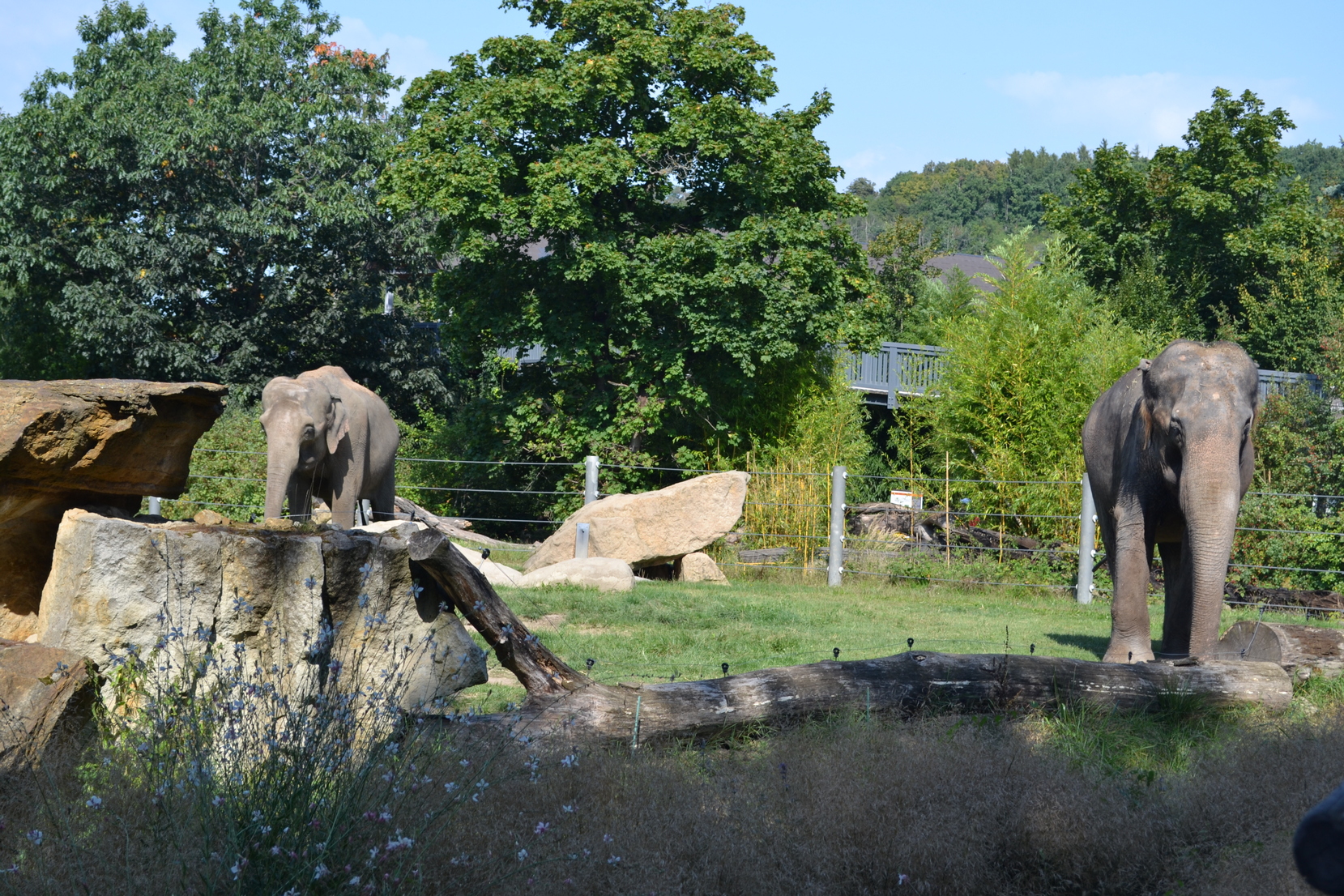 Zoologická zahrada Praha - Praha