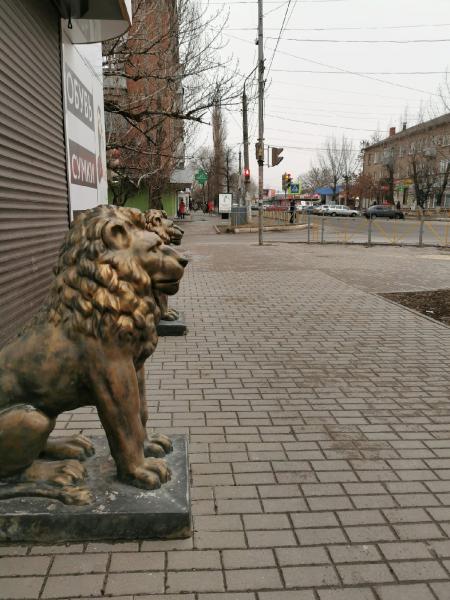 Lion sculptures - Kamensk-Shakhtinsky