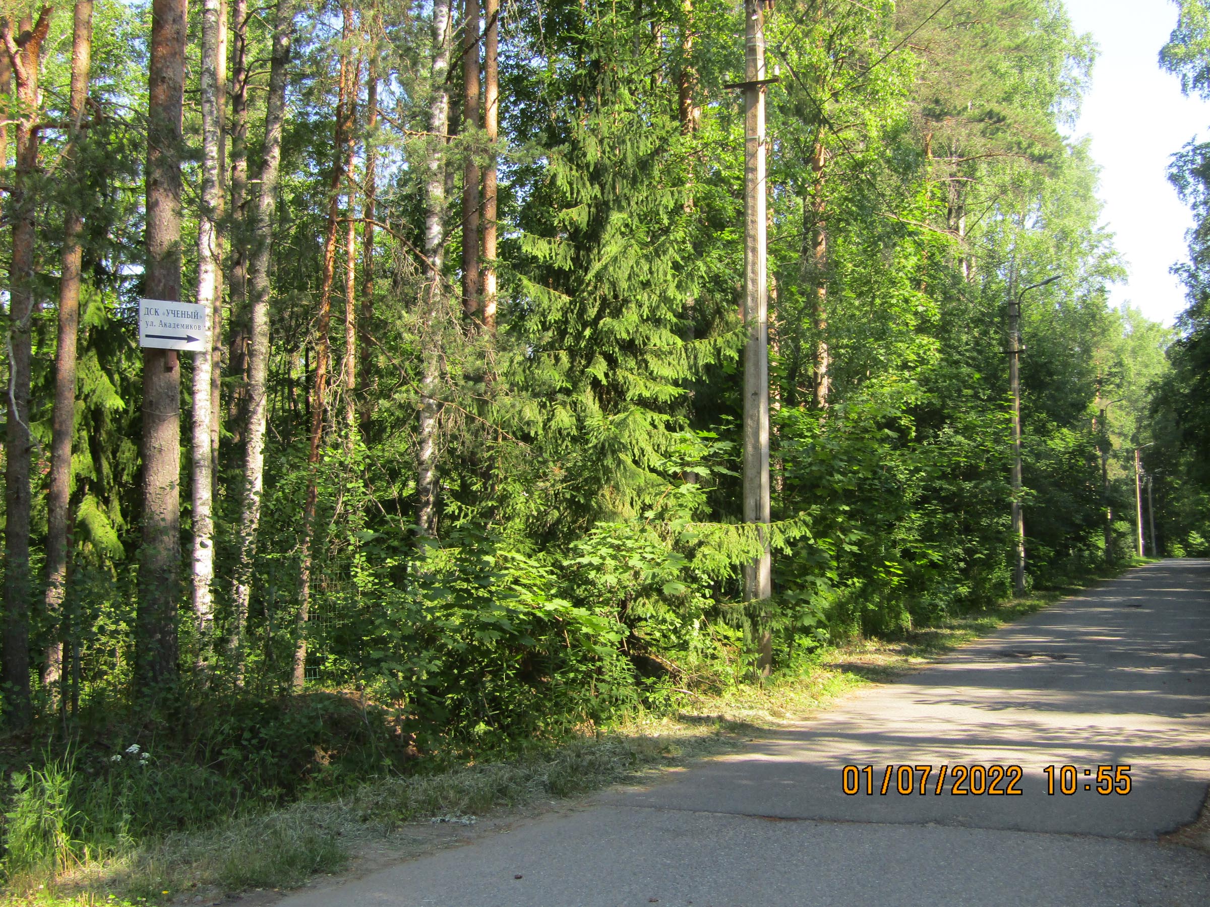 комарово в санкт петербурге