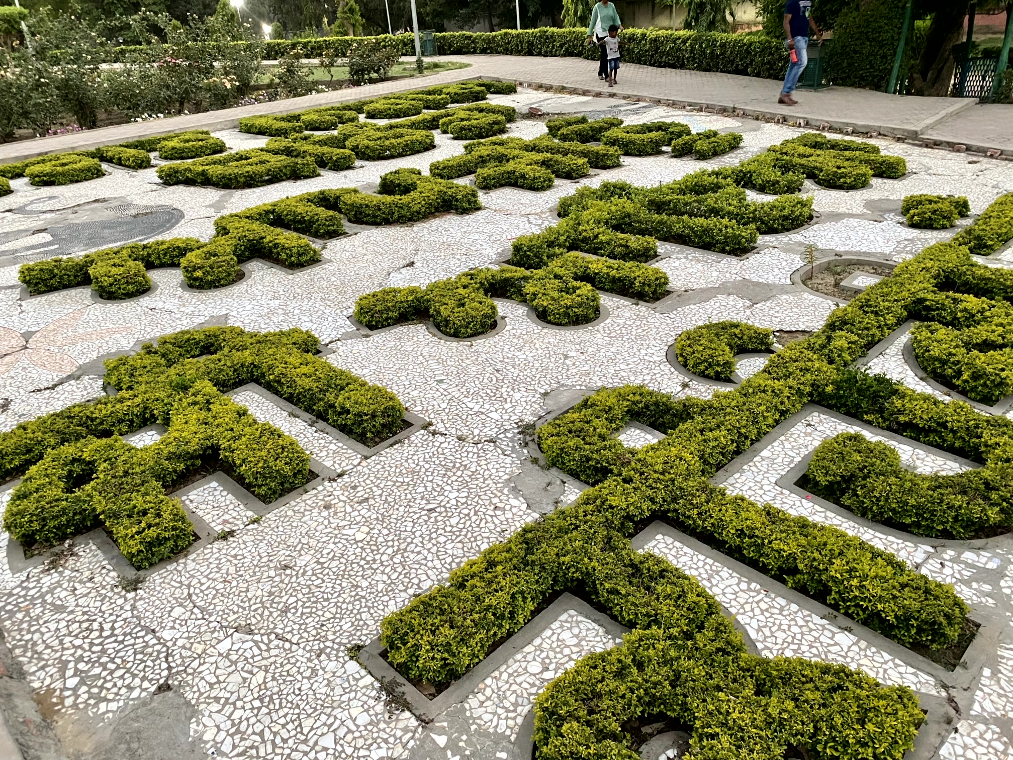 rose garden, bathinda Bathinda