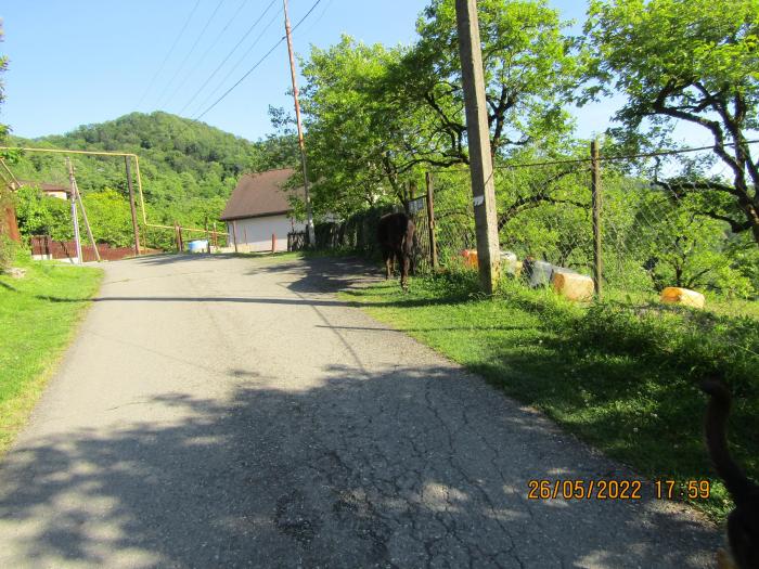 лооский храм дагомыс. село альтмец сочи. лооский храм дагомыс. дагомыс лоо. нор луйс сочи.