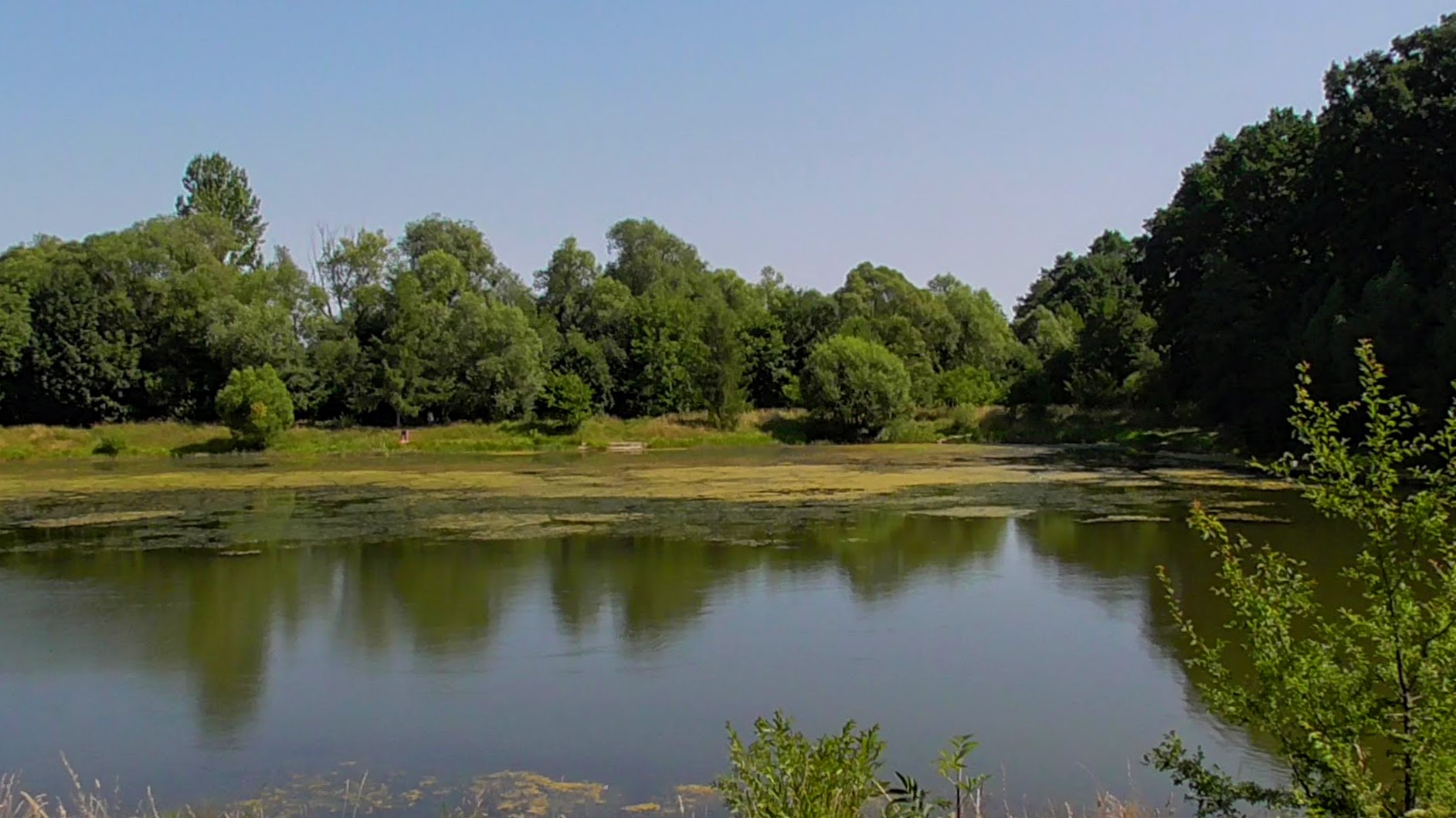 Small private lake - Nadvirna