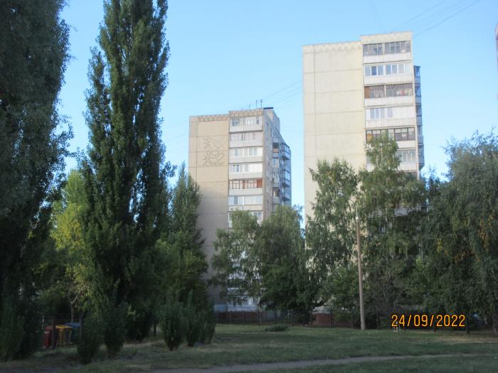 авроры 14/1