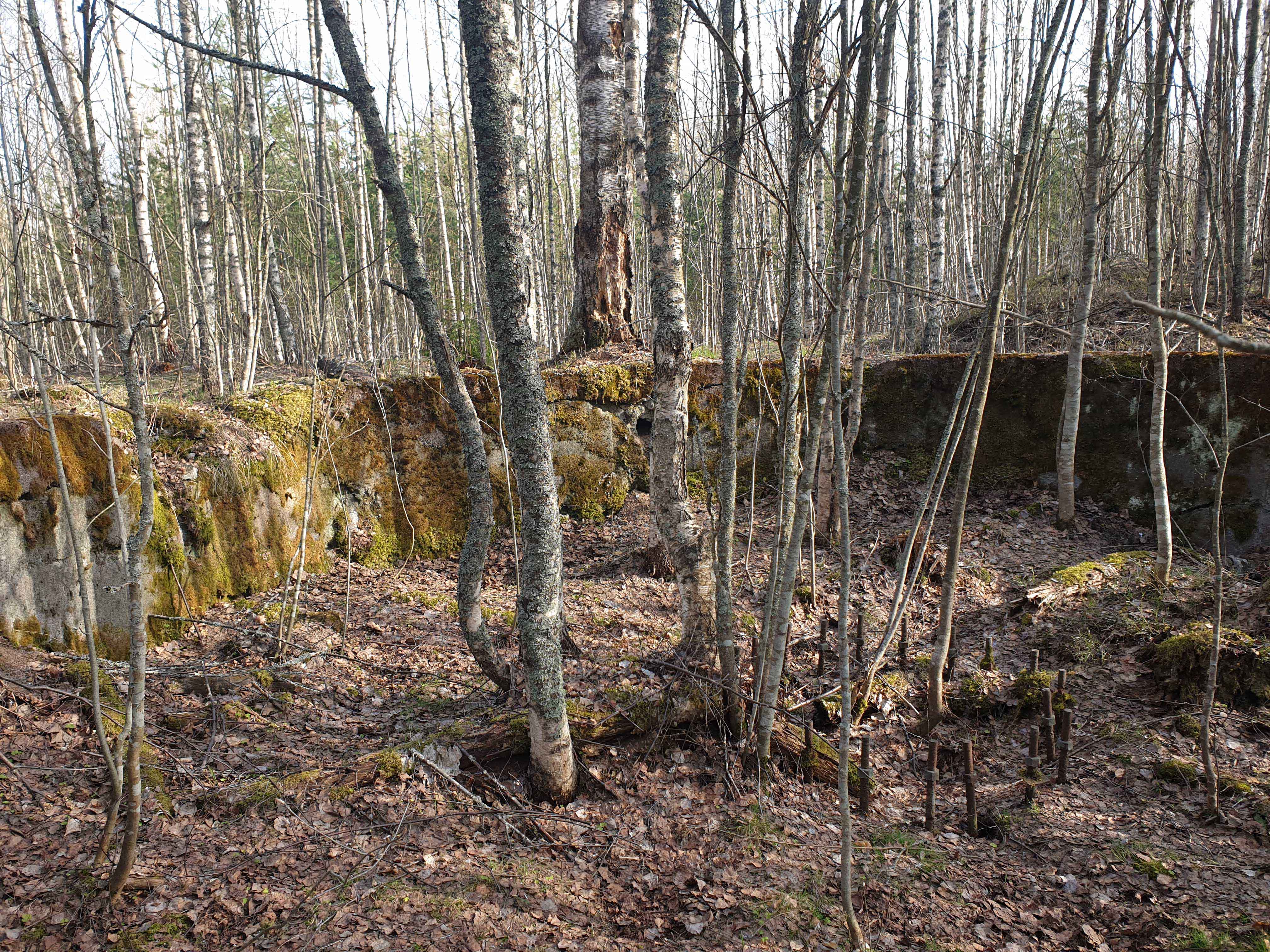 Coastal battery