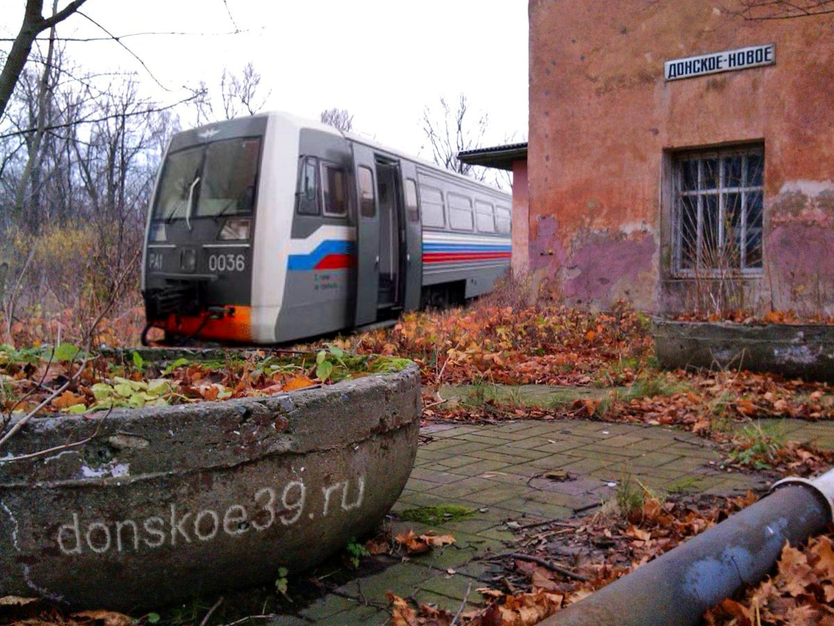 Купить Дачу Донское Калининградская Область