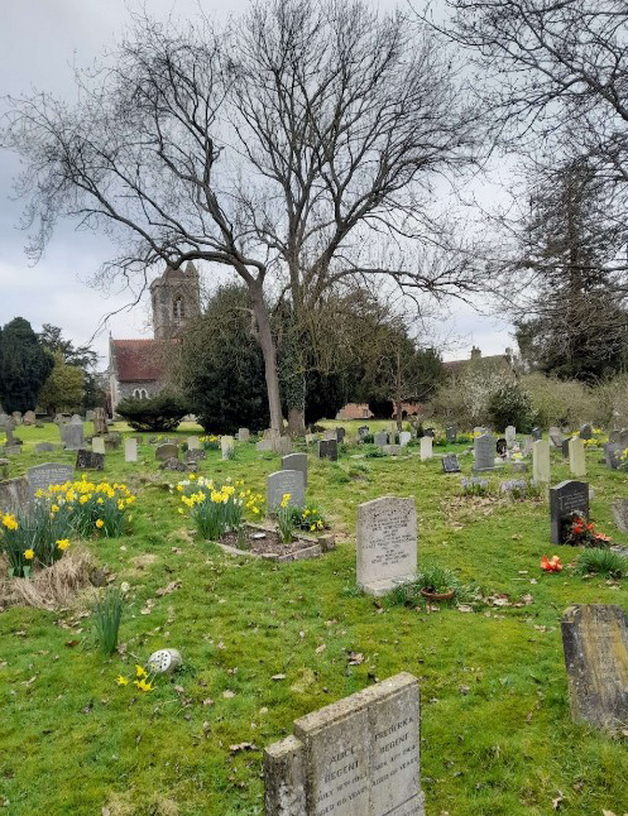 St Mary's Churchyard - White Waltham