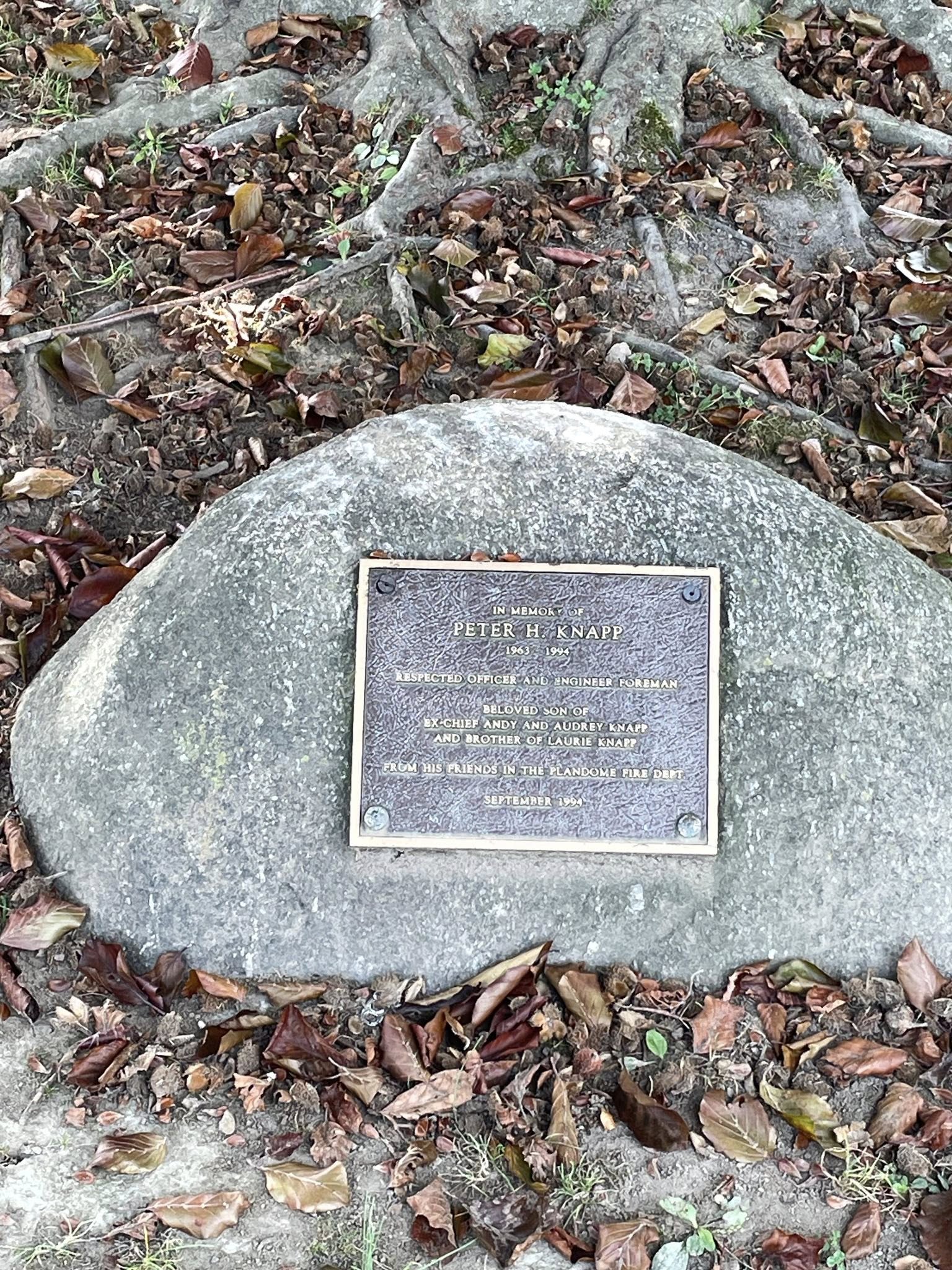 Peter H. Knapp Memorial Tree - Plandome, New York