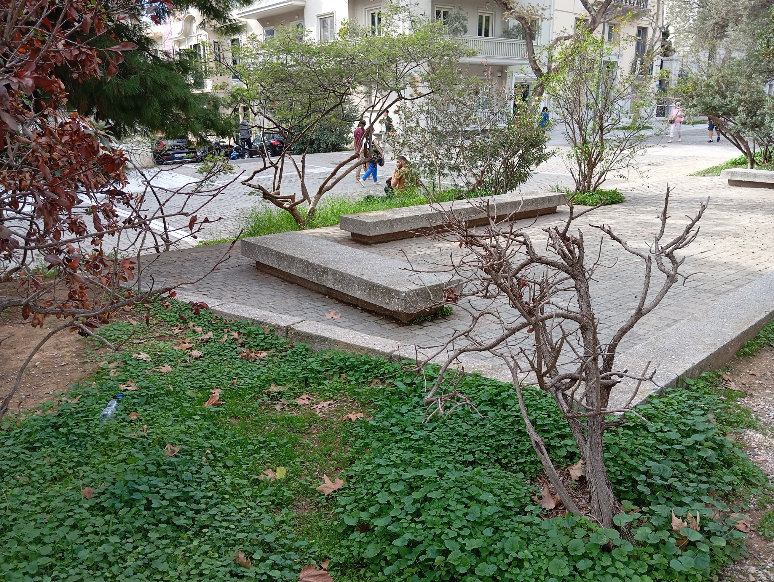 Bench - Athens | bench (furniture)