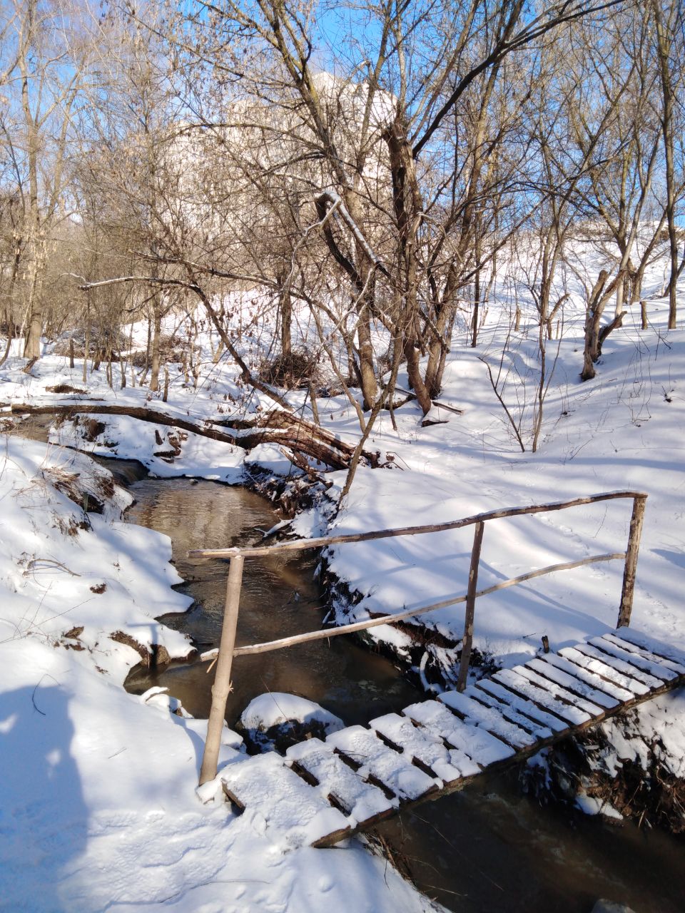 Foot bridge - Kharkiv