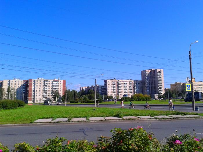 санкт-петербург, ул. ул рихарда зорге санкт петербург. рихарда зорге 15. улица рихарда зорге. зорге 15/1.