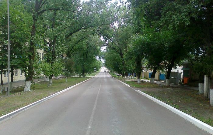 Погода лиховской ростовской обл. Лиховской Ростовская область. Мкр Лиховской. Каменск-Шахтинский улица Советская.