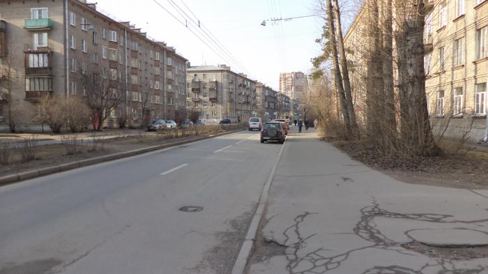 Улица васи алексеева в санкт петербурге