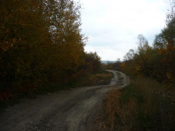 муравьевка амурская область. муравьевка погода липецкая. новая муравьевка мордовия. пруд в муравьевке липецкой области. муравьевка пенза.