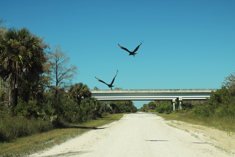 Turner River Road (CR 839)
