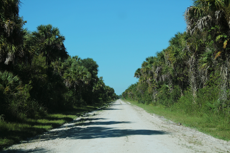 Turner River Road (CR 839)