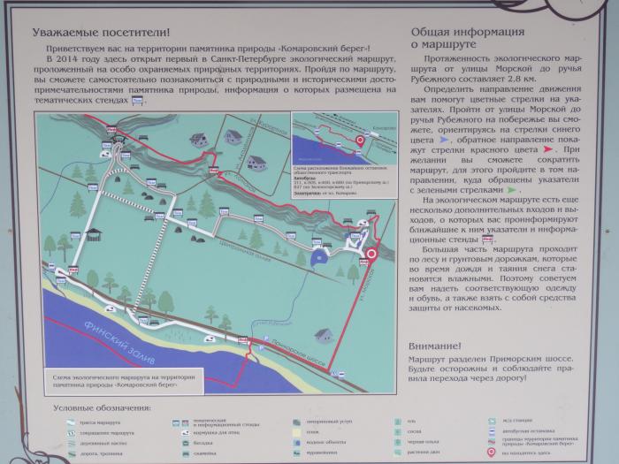 Эко тропа сестрорецк маршрут схема проезда