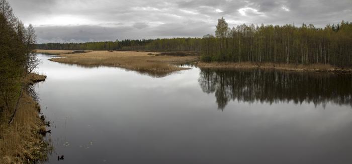 Рыбалка на реке Желча Здравствуй, лето