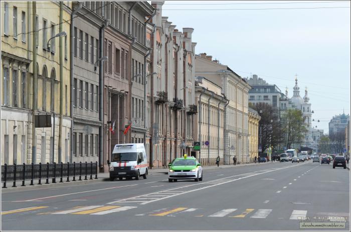 Народная улица санкт петербург. Шпалерная улица Санкт-Петербург. Шпалерная улица СПБ. Шпалерная улица топоним. Панорама Шпалерная улицы Санкт-Петербурга.