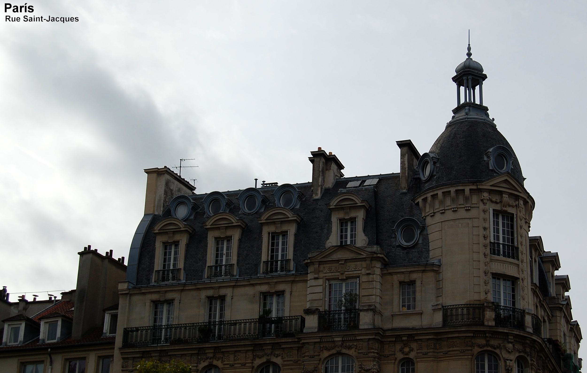 Rue Saint Jacques Paris