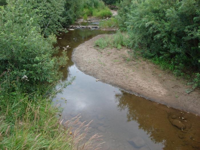 поселок ушаково гурьевского района. дубенки бережки ушаково. экопарк ушаково коттеджный поселок. дружбы. ушаково, ул.