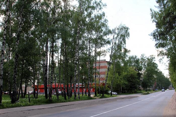 Орехово зуево парковская