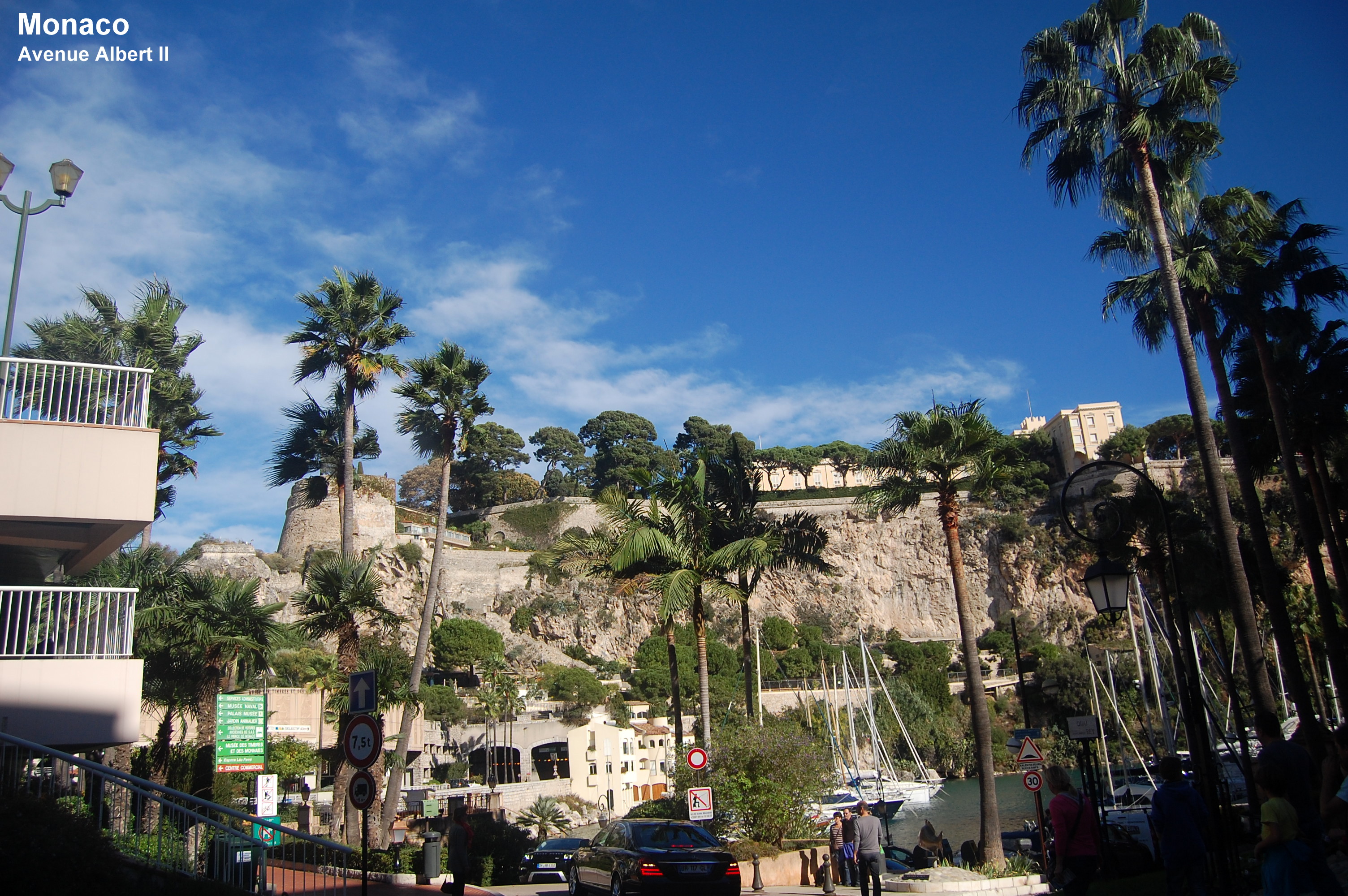 Avenue Albert II - Monaco