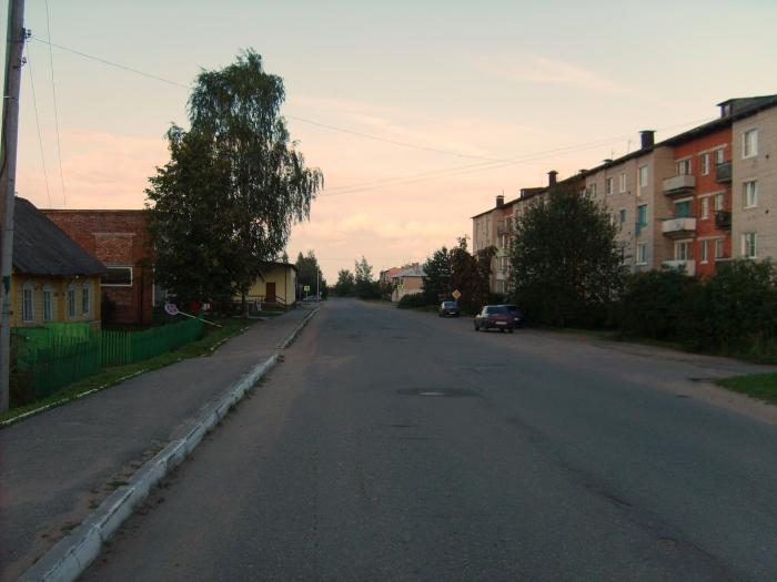 Локня псковская область. П.Локня Псковская область. Поселок Локня. Локня улица Социалистическая дом 13.