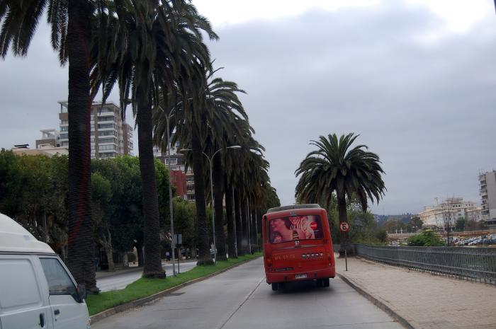 Avenida 1 Norte Gran Valparaíso