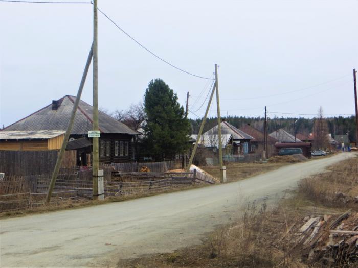 Погода огур. Еловка Приморский край. Деревня Еловка Красноярский край.