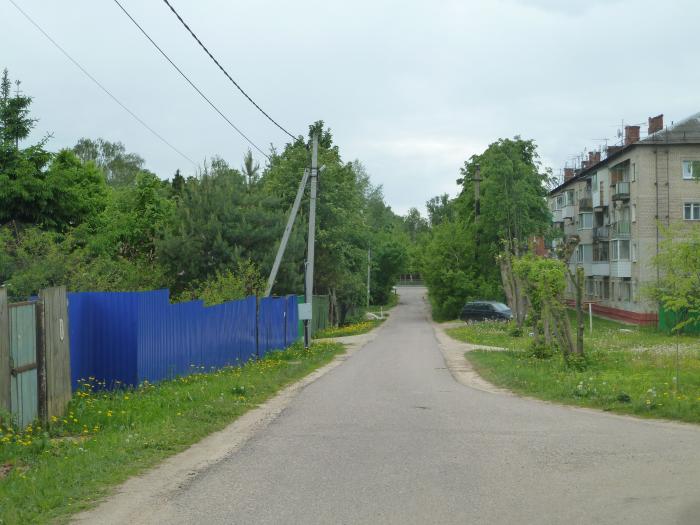 Поселок деденево московской области