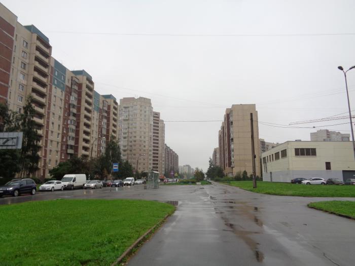 ул камышовая 17 санкт петербург