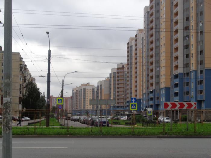 Белышева 5 6 Купить