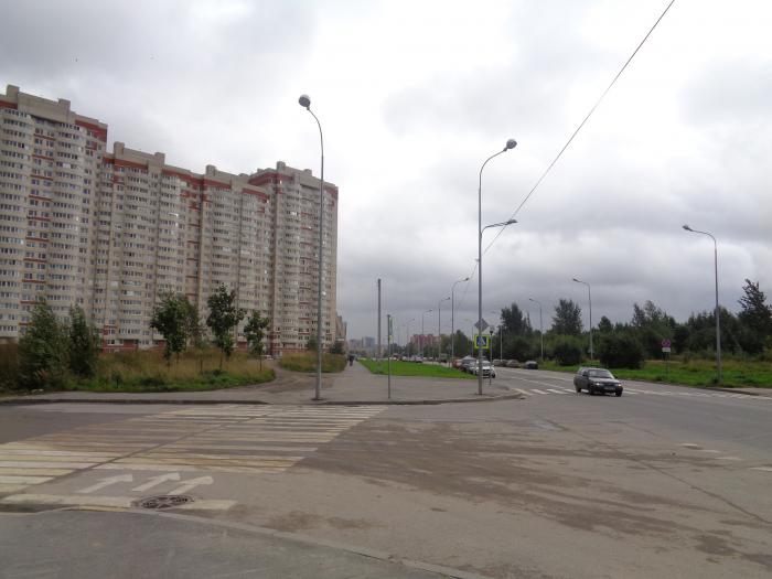 Латышских стрелков, 17к1. Латышских стрелков 9 корпус 2. Г. Санкт-петербург, латышских стрелков ул. Латышских стрелков 31 здание.