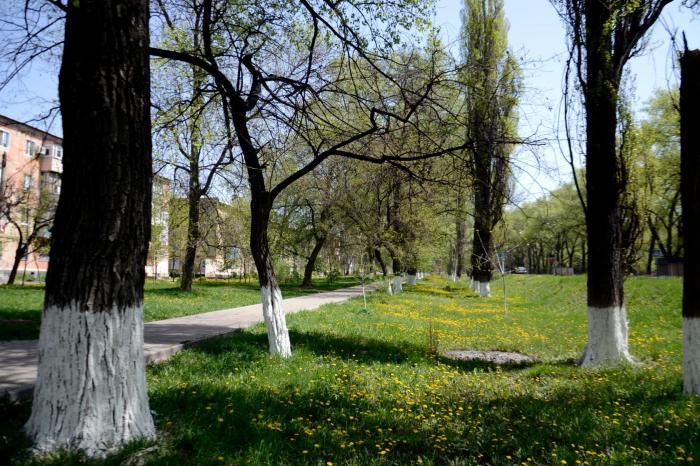 город шахтерск донецкой области. ул ленина дом 14 шахтерск. шахтерск ленино. шахтерск ленино. г шахтерск ул суворова 5.