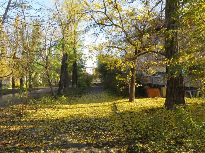 пушкина 4 волгодонск. пушкина 4 волгодонск. пер пушкина. пер пушкина. пер пушкина 8 волгодонск.