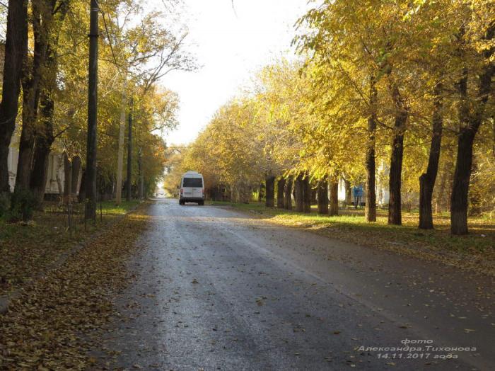 Волгодонск переулок. Донской переулок Волгодонска. Волгодонск, Донской пер., 42. Парки Ростовской области в Волгодонске. Донской переулок 33 г Волгодонск.