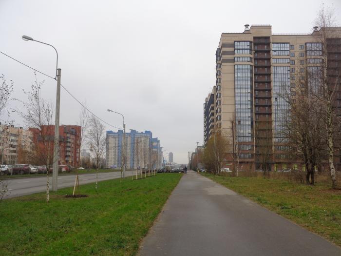 , 14. репищева улица спб. ул репищева. ул репищева петербург. санкт-петербург.