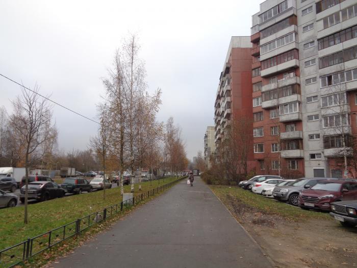 спб афонская д1. афонская улица. афонская приморский район. афонская улица спб. афонская улица 24к2 санкт-петербург.