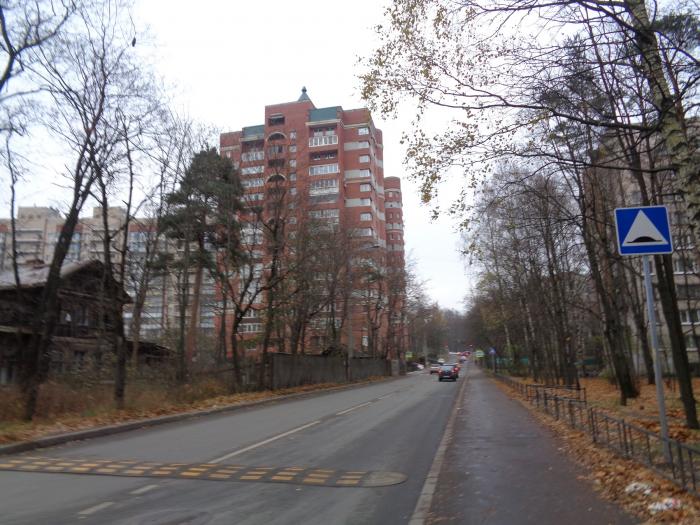 рашетова улица в спб. ул рашетова. санкт-петербург ул рашетова 13. улица рашетова дом 6. улица рашетова санкт-петербург.