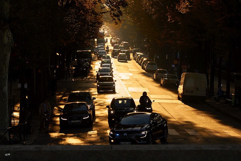Avenue de Suffren Paris
