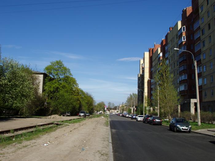 улица дудко санкт петербург. дудко, 24. дудко 29к1 санкт-петербург улица. санкт-петербург ул дудко 3. улица дудко, 3.