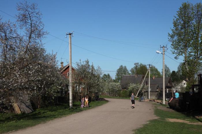 Фото Свежие Опочка