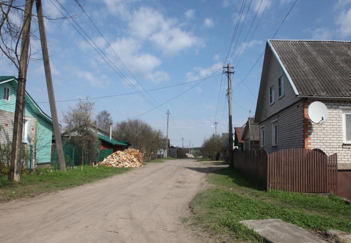 Фото Свежие Опочка
